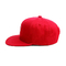 Cappuccio di Snapback di logo del ricamo cappello/3D di Snapback del pannello di abitudine 6