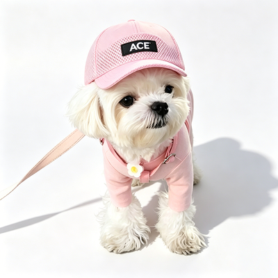 50 grammi di cotone Cute pet cappello design versatile corrisponde vari abiti e personalità animali perfetto regalo