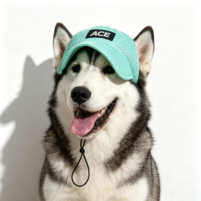 Cappello per animali da compagnia all' esterno e all' interno adatto a cani piccoli Il pacchetto include 1 cintura regolabile per cappelli per animali da compagnia per un' adattabilità sicura