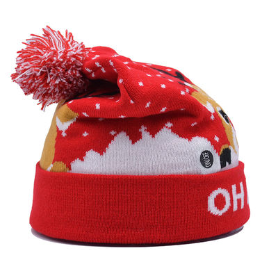 Cappelli unisex invernali con modello ricamato per la stagione fredda