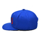 OEM ODM Customized Flat Brim 3D ricamo Caps Snapback Con Logo, Caps Hip Hop Per Uomini