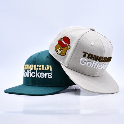 Logo ricamato in 3D di elegante qualità 6 pannelli Cappello Snapback Vendita calda