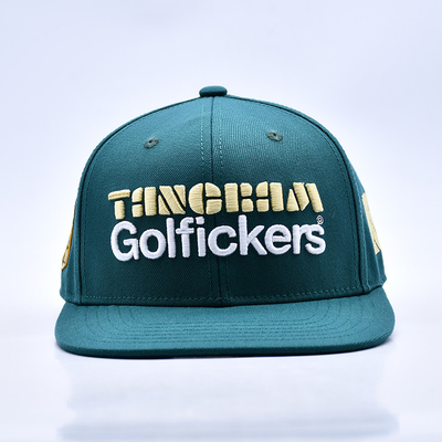 Logo ricamato in 3D di elegante qualità 6 pannelli Cappello Snapback Vendita calda