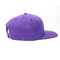 L'acrilico di 100% ha personalizzato i cappelli di Snapback/il cappuccio ed il cappello di Snapback logo del ricamo